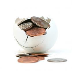 Nest Egg