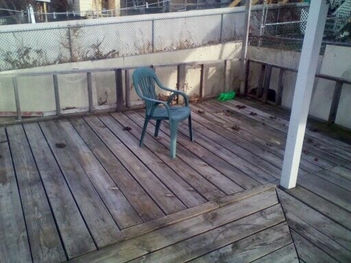 poop2 more dog POOP! Dealing with My Tenant from Hell